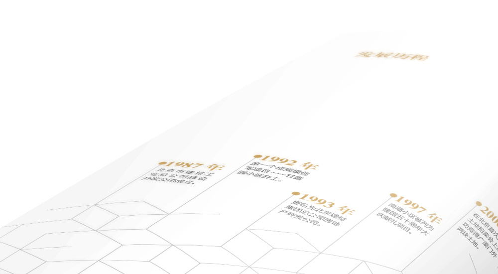 發(fā)展歷程2 發(fā)展歷程2